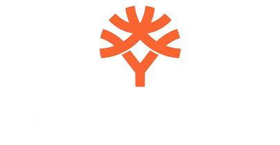 partners who work with DF Game